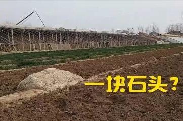 囧哥:寿光