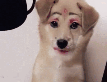 我特么管你是男票还是狗子,毁老娘化妆品的一律判刑!