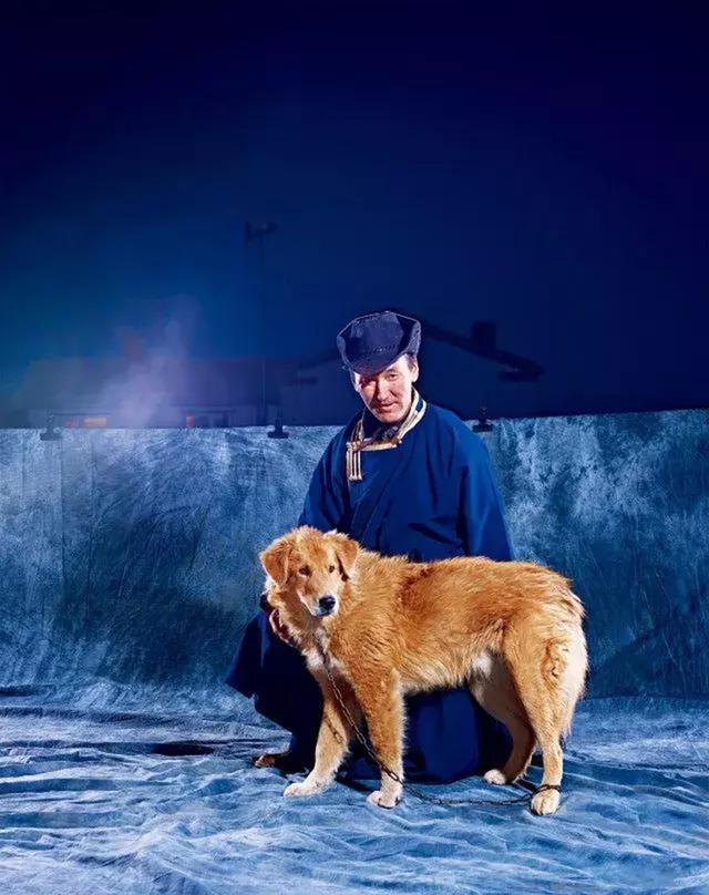 蒙古牧羊犬,古老“东方咬狼犬”一种能够驱赶并杀死狼的大型猛犬