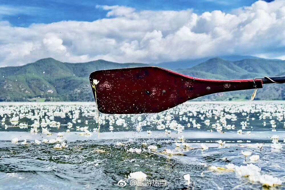 泸沽湖水性杨花已开,再不背包去看看,就要等