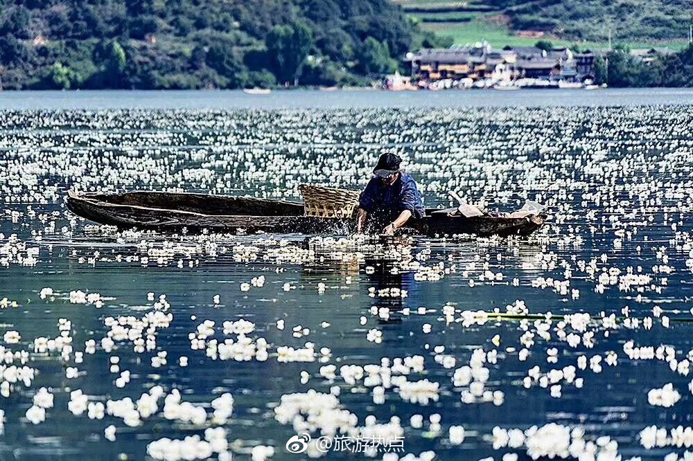 泸沽湖水性杨花已开,再不背包去看看,就要等