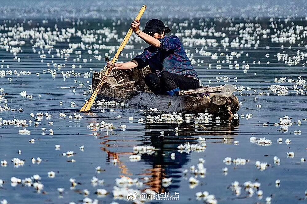 泸沽湖水性杨花已开,再不背包去看看,就要等
