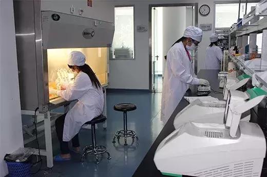 瑞普生物公布2017年业绩报告,透露瑞派宠物医