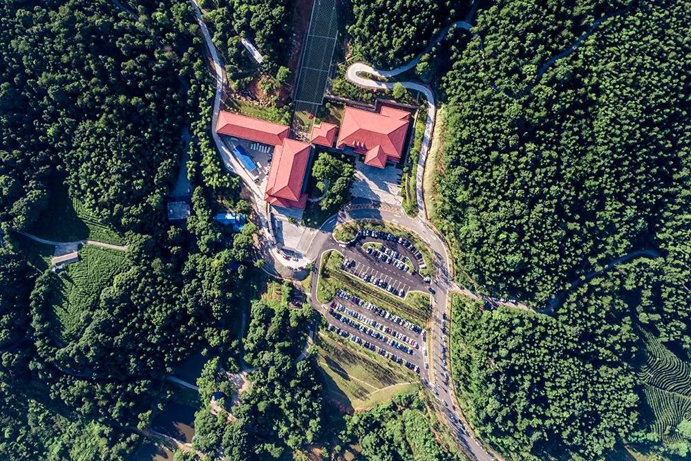 上庐山游玩注意啦!这条道路全线禁止停车,违规