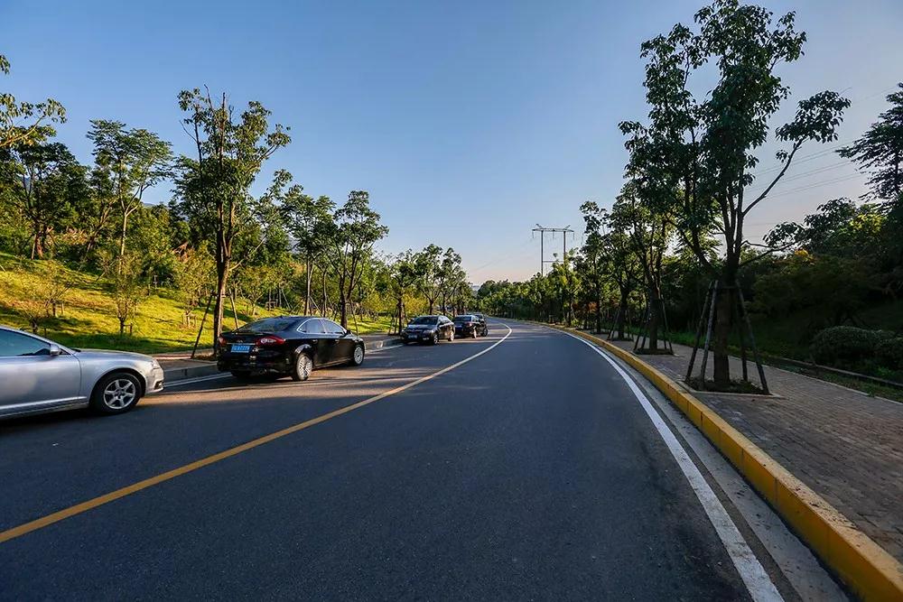 上庐山游玩注意啦!这条道路全线禁止停车,违规