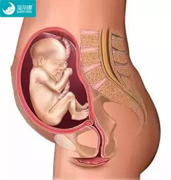 为什么十月怀胎只有280天,从哪一天开始算怎