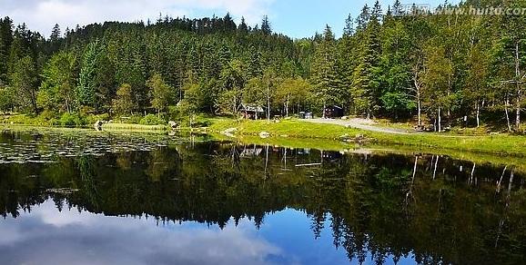 挪威石油工业占gdp的一半以上为什么是发达国