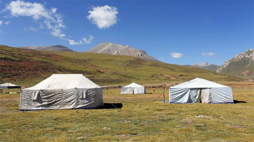 去西藏遇见白色帐篷，千万不要随意进，一不小心就成了藏族女婿!