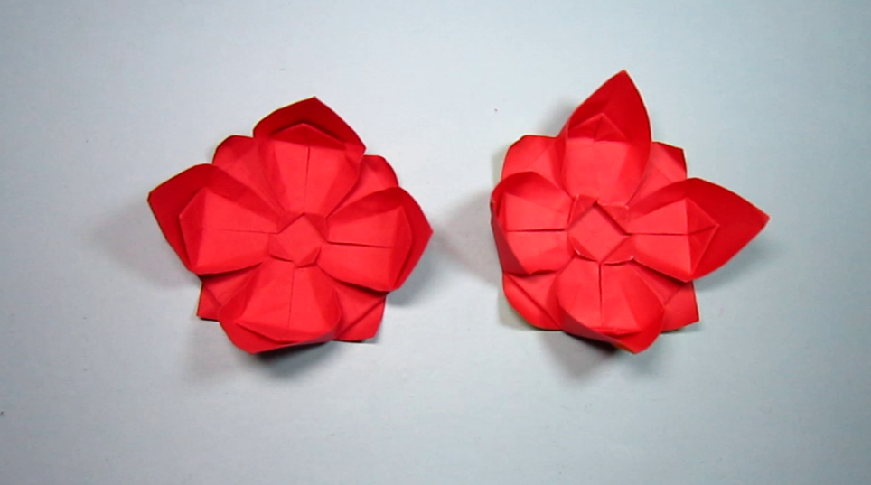 怎样折纸花 一张纸折出美丽的花朵 纸艺手工花的