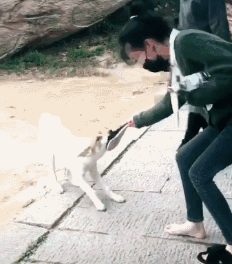 小姐姐半路遇狗子打劫:你拖鞋有屎,我男人喜欢!