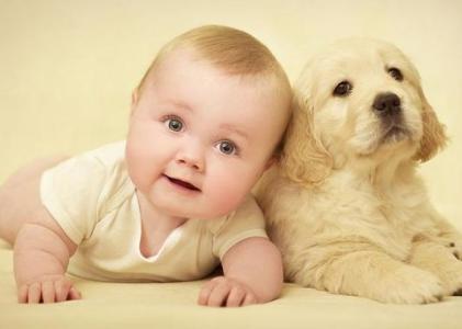 狗年出生小宝宝起名最好用这5类字!一生平安幸