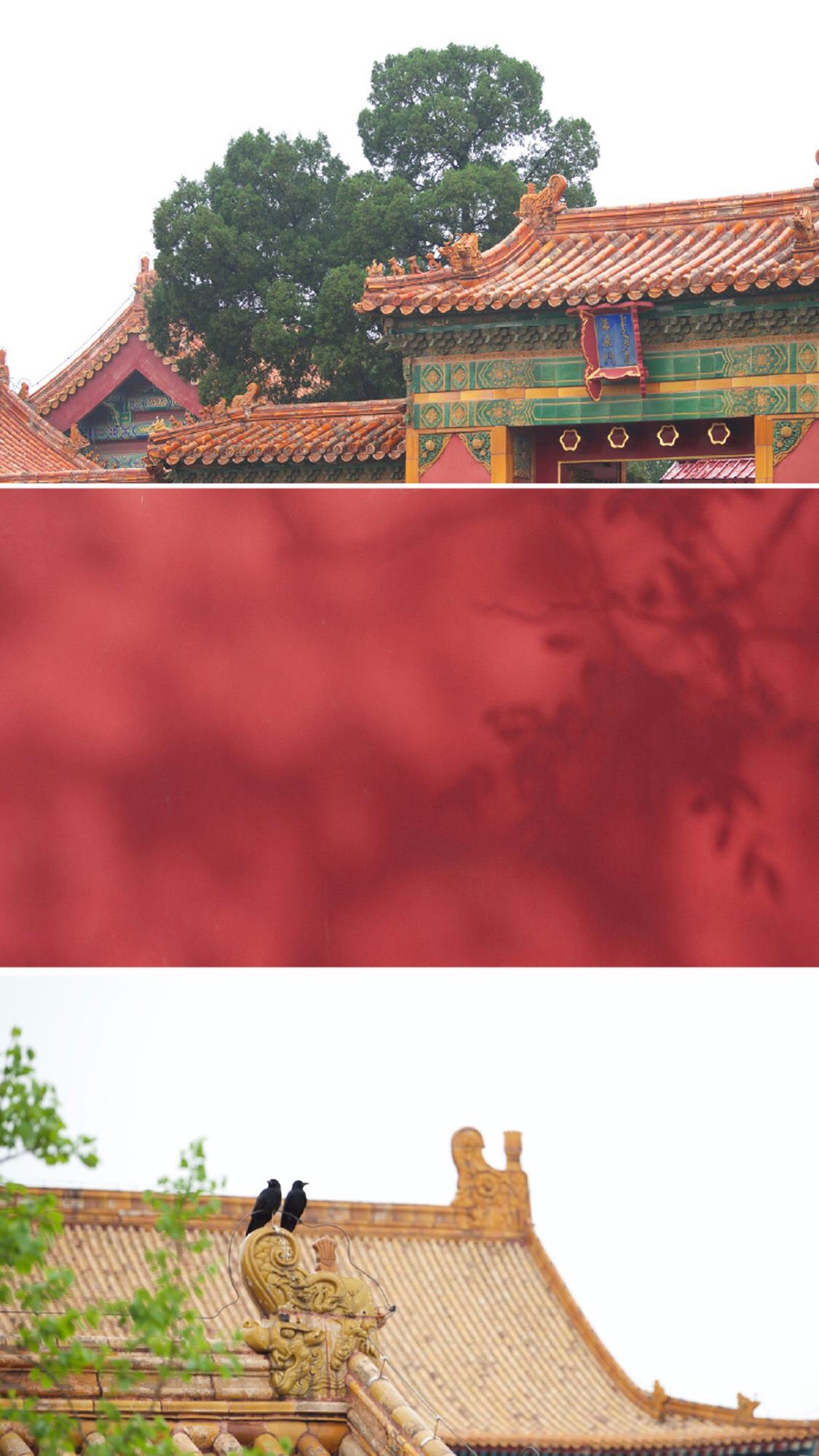 中国古建筑之美,带你领略不一样的故宫.