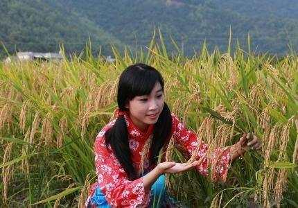 城市姑娘嫁给农村小伙,真的就不会幸福吗?