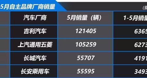 吉利夺冠，部分车企严重“偏科”，五月自主品牌销量点评