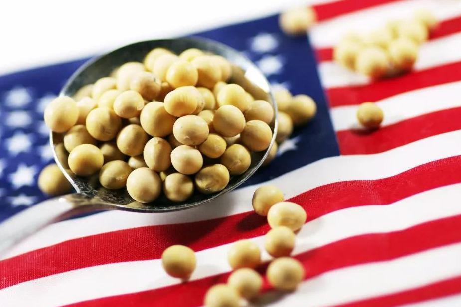 这国漫天要价,中国被迫妥协!美国大豆成功重