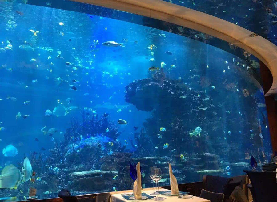 世界上最奇特的酒店:睁开眼就是鱼群围绕!海底酒店