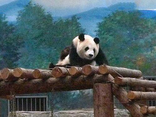 儿童节推荐:北京10大最适合带孩子去玩的地方