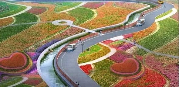 美极了!广西五彩田园“三角梅花海节”真的太美了!!