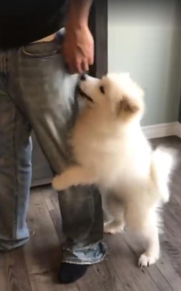 抱大腿;汪:别走嘛,人家舍不得