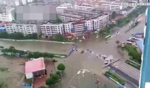 心育文化的看点主页