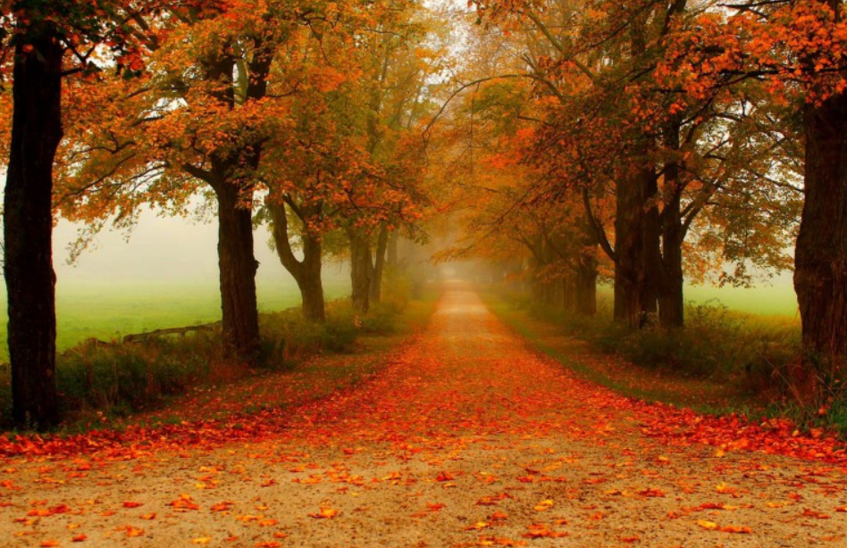 大自然秋天风景图片唯美浪漫