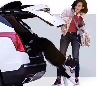 我的漫漫选车路 我眼中的凯迪拉克XT5