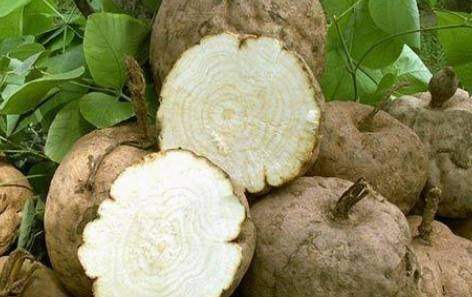 用葛根粉泡水喝,有这3个好处,难怪越来越多的