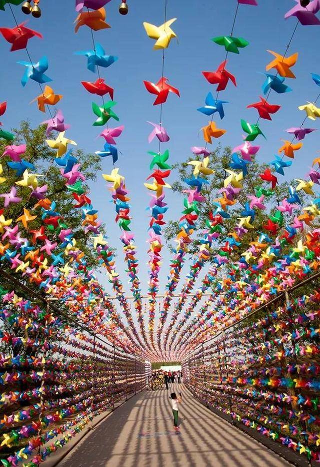 五一去哪儿?河口孤岛万亩槐林风车艺术节