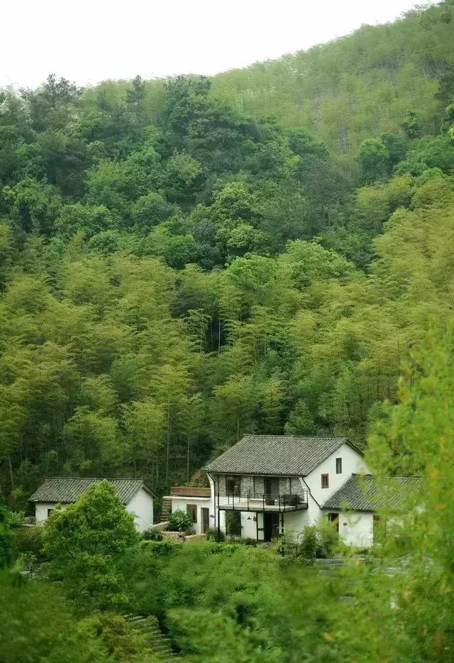 国内四大避暑胜地之一! 还是蒋介石与宋美玲度蜜月的地方