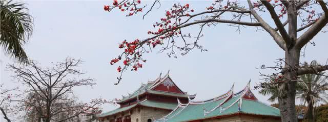 慢走厦门,人气网红的浪漫旅游胜地,这里小吃全