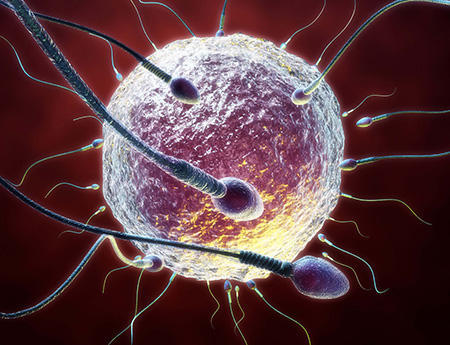 备孕1年未怀孕,需要做哪些检查?