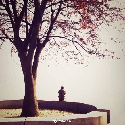 今天看到一句话,很感慨