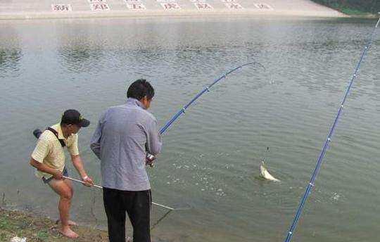 如何用海竿浮钓, 图解浮漂组装!