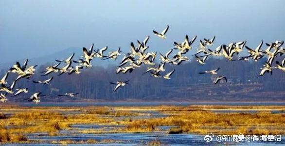 今天凌晨,贵州毕节威宁发生3.8级地震