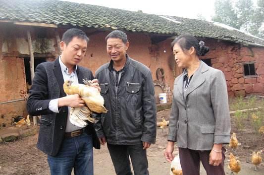 种地一年能赚几万? 那些年入十几万的在做什么