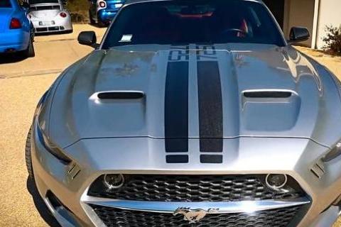 小伙晒出新买的野马，车尾几个字母亮了，懂车网友看后：最强野马