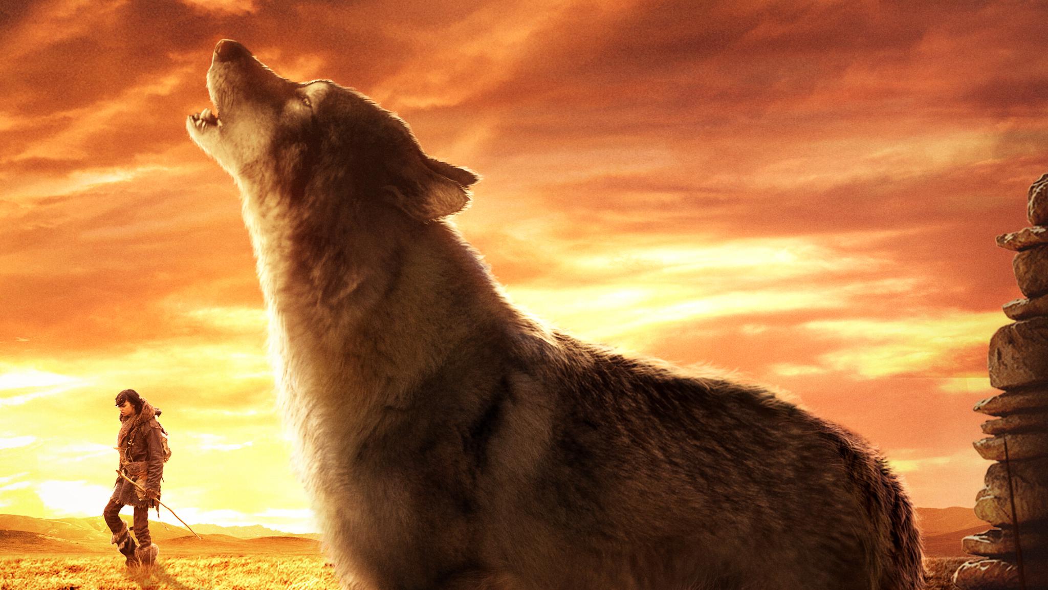 阿尔法:狼伴归途:揭史上第一只狗秘密反差萌