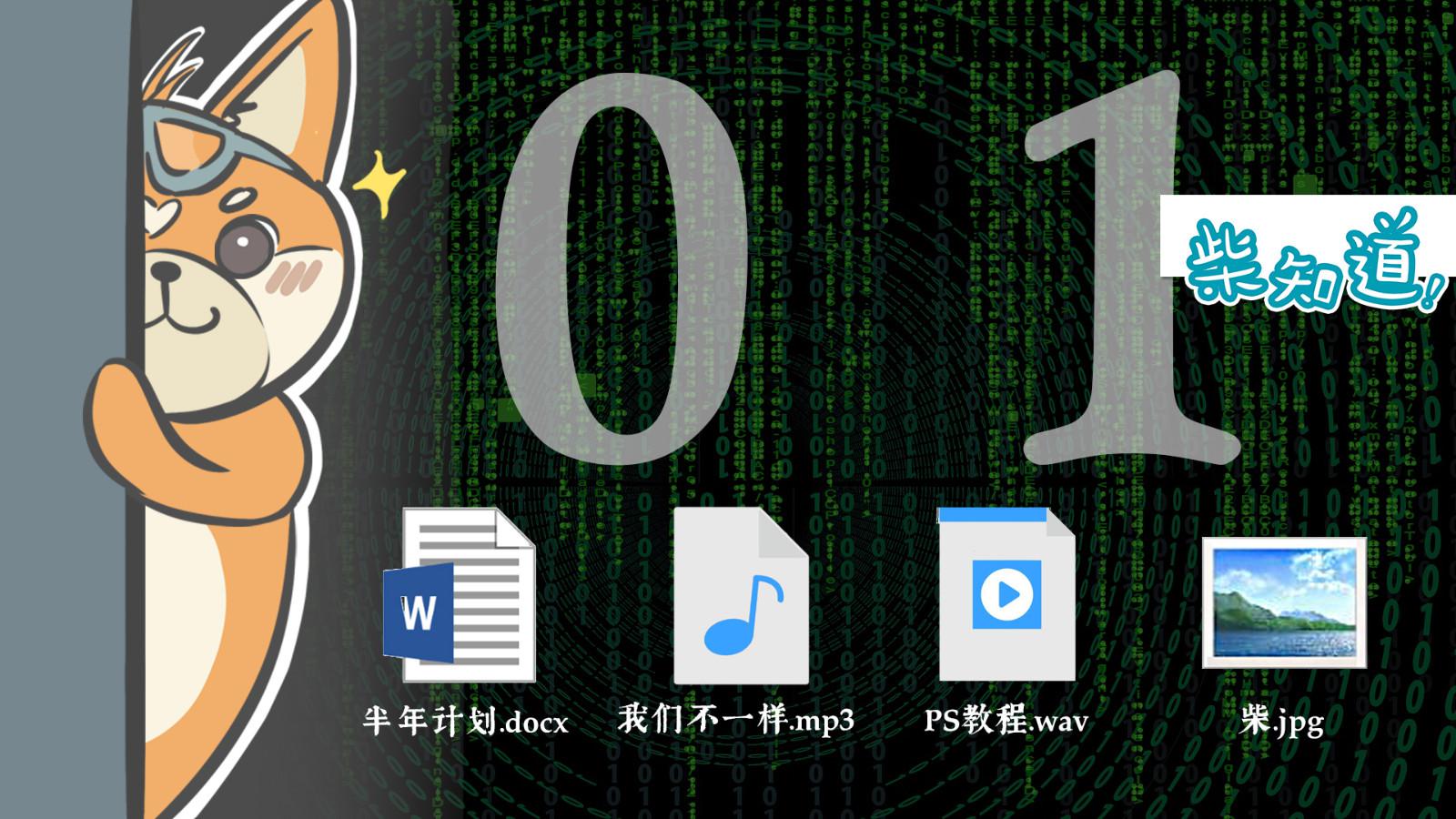 电影?游戏?音乐?在数字世界里它们统统都只是0和1而已