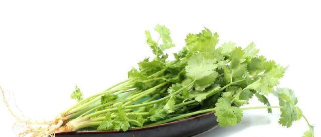 每天用香菜根煮水,胜过100片面膜!美白又祛斑