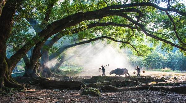 2018各省五一旅游收入排行榜出炉,第一名竟然