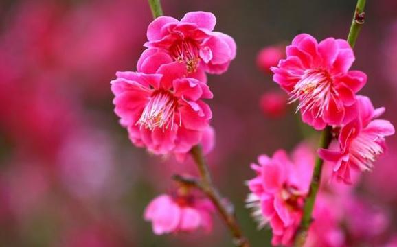 社会现实,人心复杂