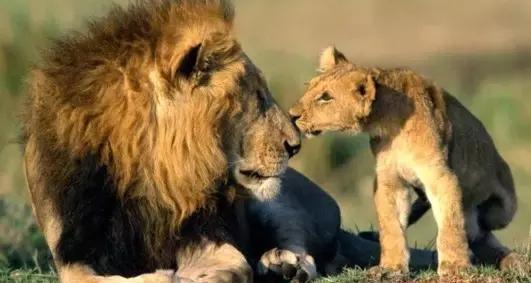 非洲音乐、风光之美