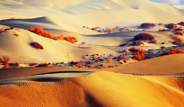我国最大的内陆盆地_我国最大的内陆盆地是_中国最大的沙漠和最大的