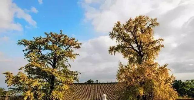 成都藏着个欧洲小城,拍照发朋友圈骗到了所有