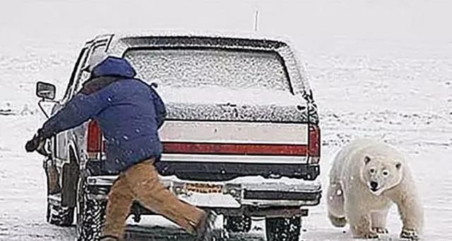 这些劲爆的汽车冷知识！绝对冷到你怀疑人生