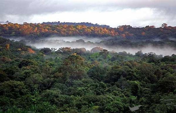 南美洲唯一一个说英语的国家