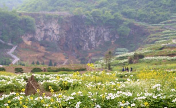 赵雅芝版《新白娘子传奇》,胡媚娘被打下凡间