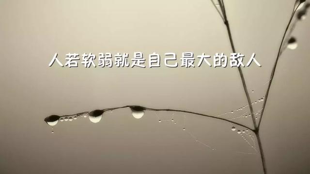 最新早安励志图片带字 朋友圈激励人心的正能