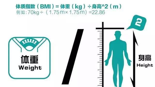 女性 平均 体重 文科省・学校保健統計（2）体重―5歳から17歳の平均体重、肥満・やせ（痩身）の傾向