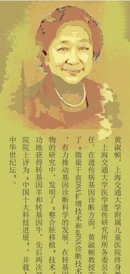 春暖木棉红--乐从英才回乡系列活动